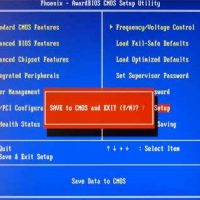 bios6