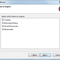 Firefox import wizard