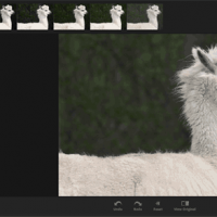 Photoexpress2