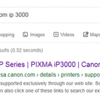 search google by site
