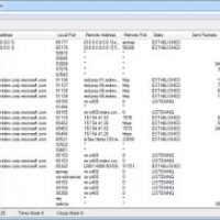 How to use TCPView